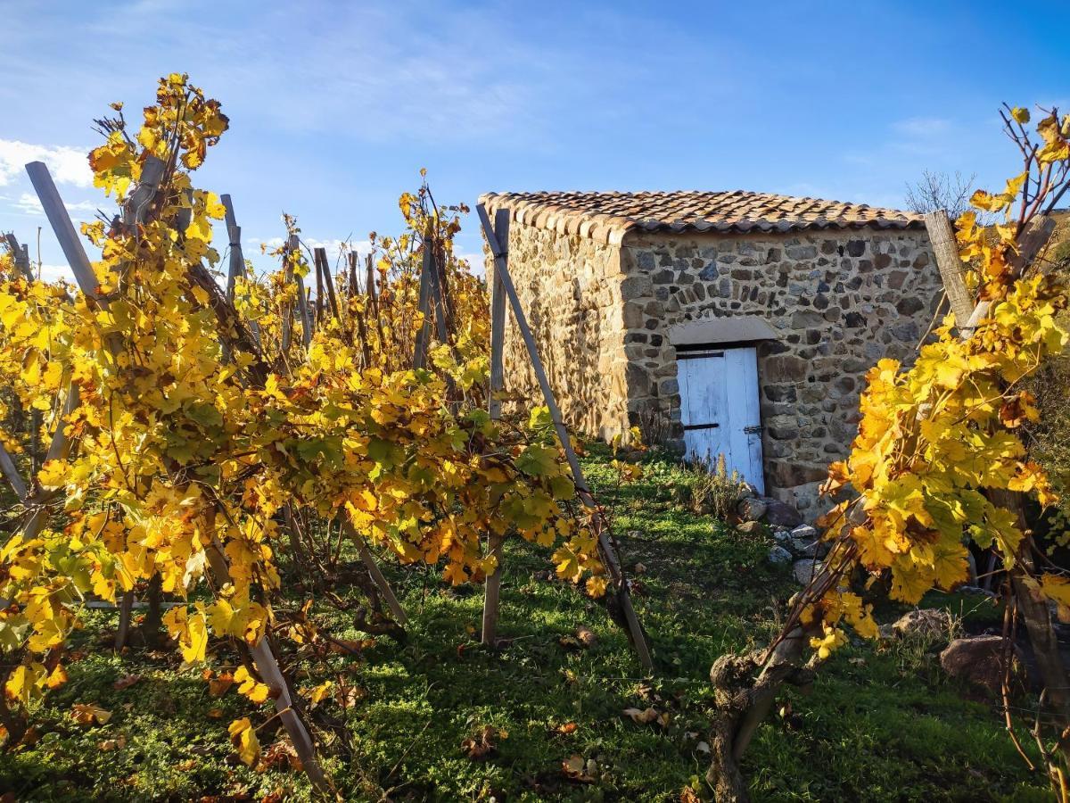 Condrieu Comme A La Maison Exteriör bild