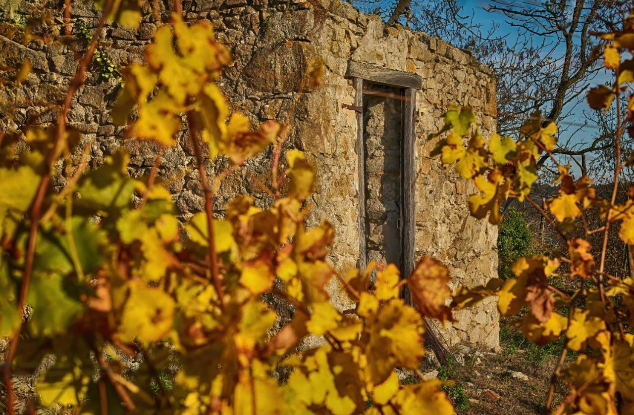 Condrieu Comme A La Maison Exteriör bild